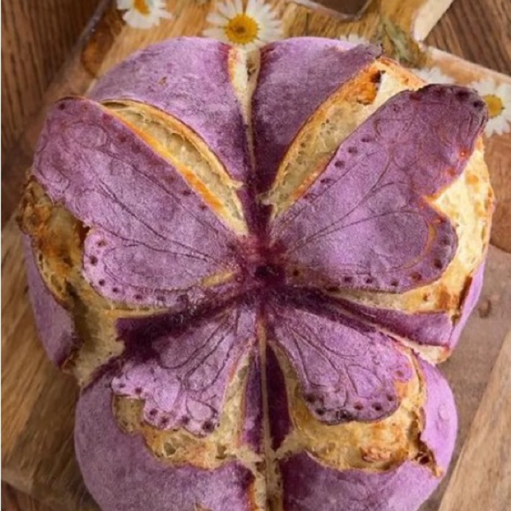 Meet your Posher, Khushi